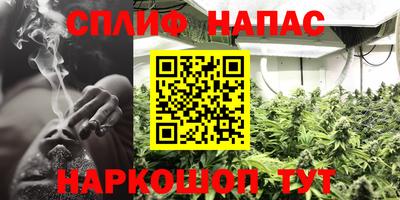 стаф Канаш